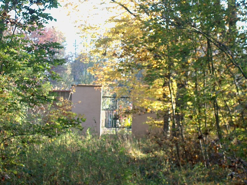 Nyphenburger Park 035 